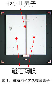 図1:素子の拡大写真
