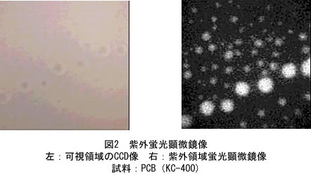 図2:紫外蛍光顕微鏡による写真(左:可視領域のCCD像，右:紫外領域蛍光顕微鏡像，試料:PCB(KC-400)