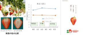 イチゴ「にこにこベリー」のケーキ用としての特性評価と利用拡大に向けた検討 イチゴ「にこにこベリー」のケーキ用としての特性評価と利用拡大に向けた検討
